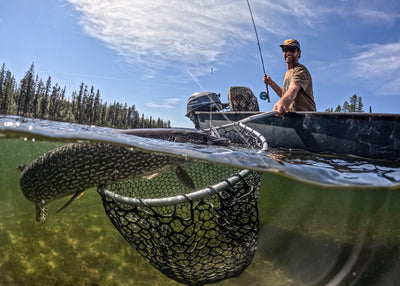 Hunting & Fishing