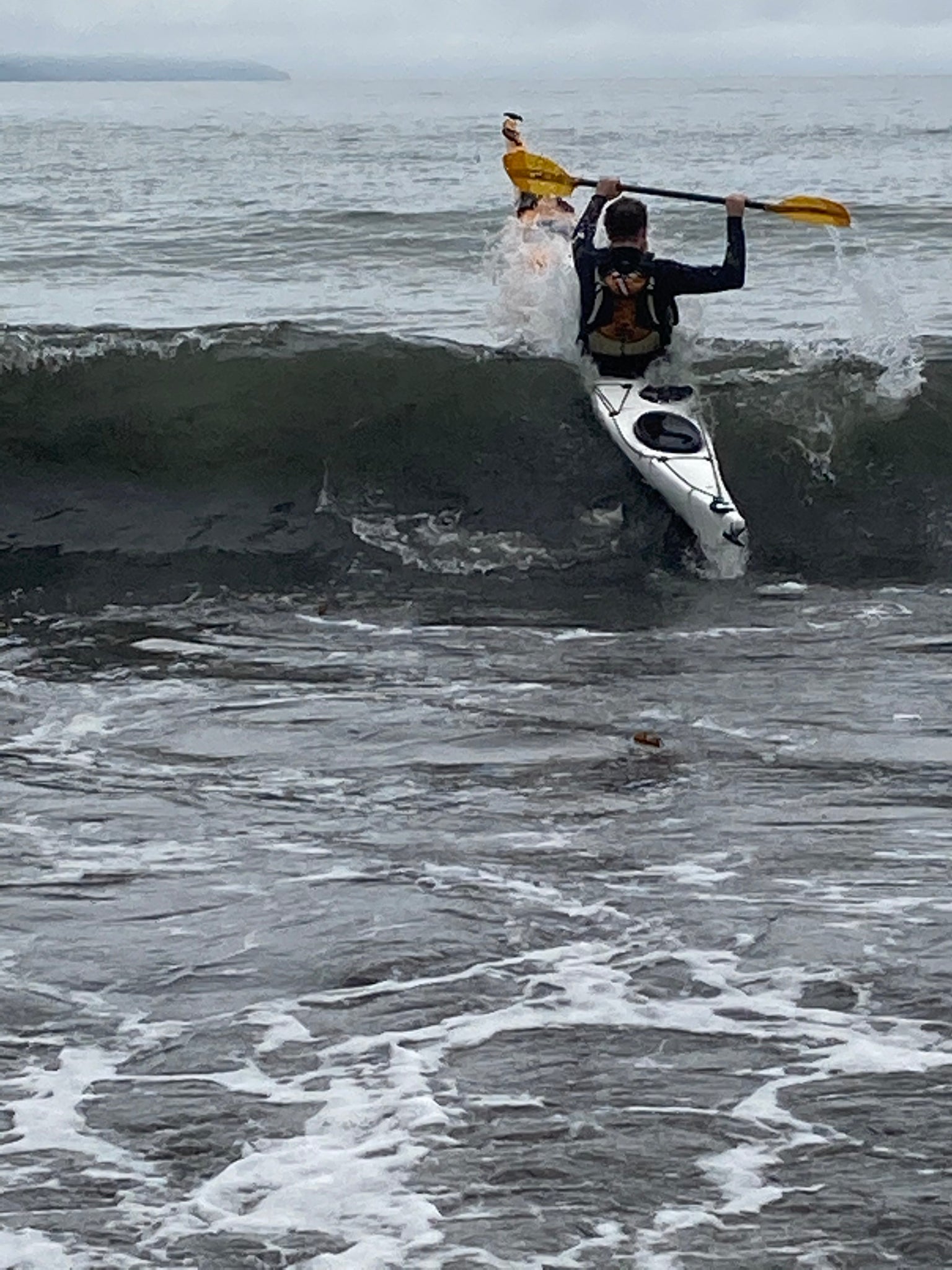 Série Playboat  | Hatteras (16')