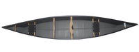 Tripper 16'